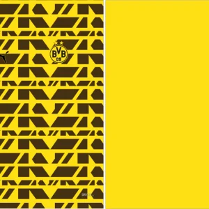 Borussia Pre-Match 25