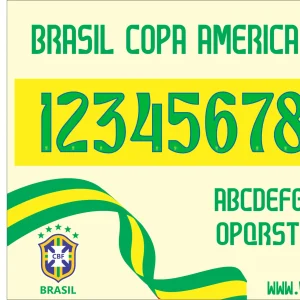 Brasil Copa América 24
