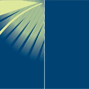 Chinito Acero Verde Limon