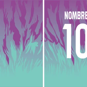 Chinito Hamco Degradado