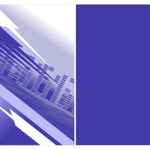 Chinito Lila Degradado Blanco