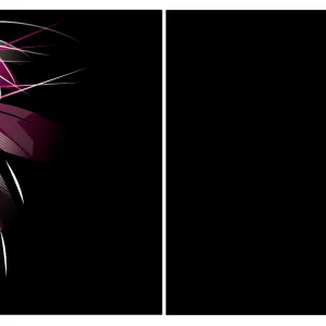 Chinito Textura Fucsia Negro