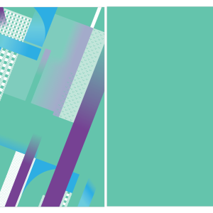 Chinito Verde  Cuadros 25