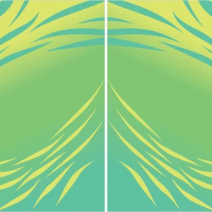 Chinito verde Degradado