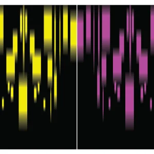 Degradados 124 Jersey