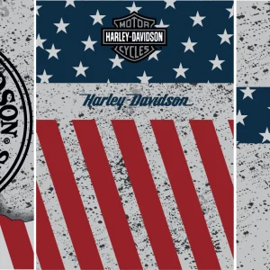 Design EEUU Hoodie 25