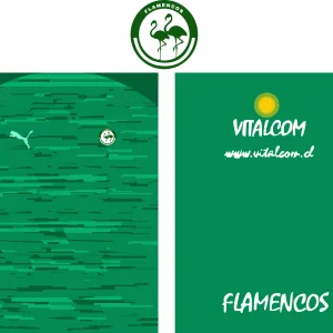 Flamencos Design PRO