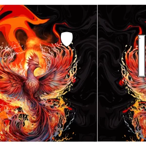 Design Interclasse Fenix 25