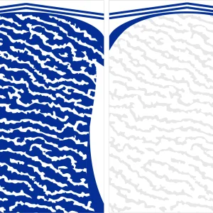 Design Jersey Azul Gris Free