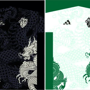 Dragon Design Concept 24