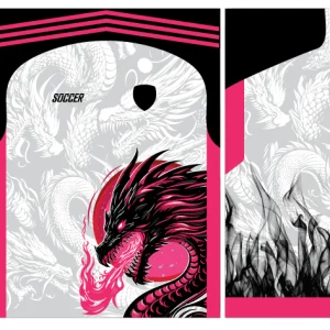 Dragon Fucsia Interclasse 3