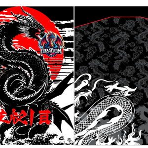 Dragon Interclasse 25