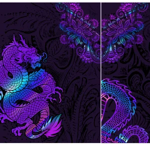 Dragon Interclasse Bicolor PRO