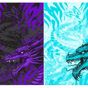 Dragon Interclasse VS25