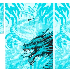 Dragon Nike Interclasse VS25