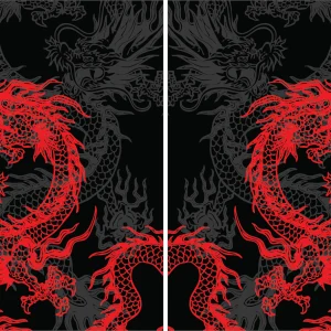 Dragon Rojo Interclasse 24 PRO