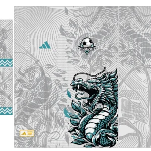 Dragón Turquesa V2.0 Interclasse VS26