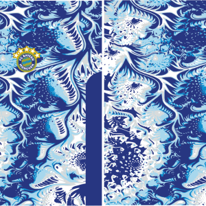 FC Bayern Munich Concept 25