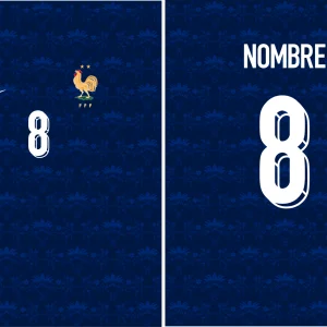 Francia Jersey Concept Blue PRO