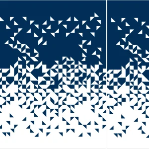 Fransport Diamante Azul