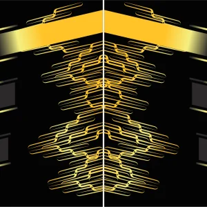 Fransport Dorado Negro 24 PRO