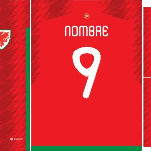 Gales Home Kit 22-23