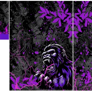 Gorila Interclasse 24