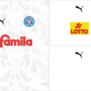 Hosltein Third Kit25