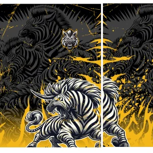 Interclasse Cebra 25