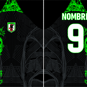 Japon dragon verde Interclasse