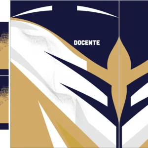 Jersey Dorado y azul VS26