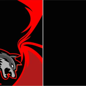 Jersey Gamer Zorro 24