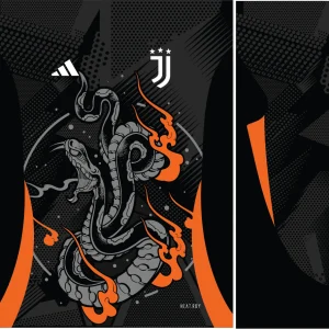 Juventus Concept 24
