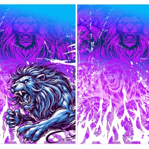 Leon Bicolor Interclasse2 25