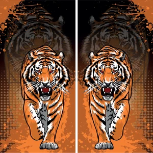 Leon Interclasse Naranja 24 PRO