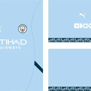 Manchester City 2024-25 Home