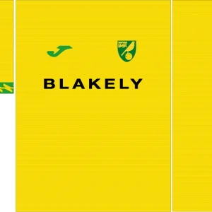 Norwich City Home Kit 25