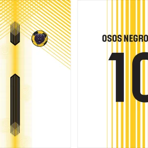 Osos Negros FC Concept 2