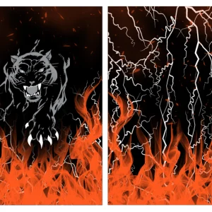 Pantera Fuego Orange Interclasse