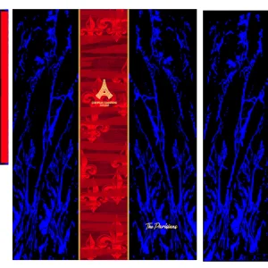 Paris Saint Germain Euro Champions Azul