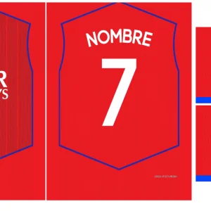 Paris Saint Germain Third Kit 25