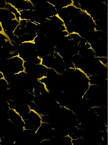 Pattern negro - efectos degradado