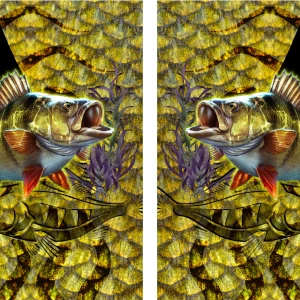 Pesca de Lubina Concept