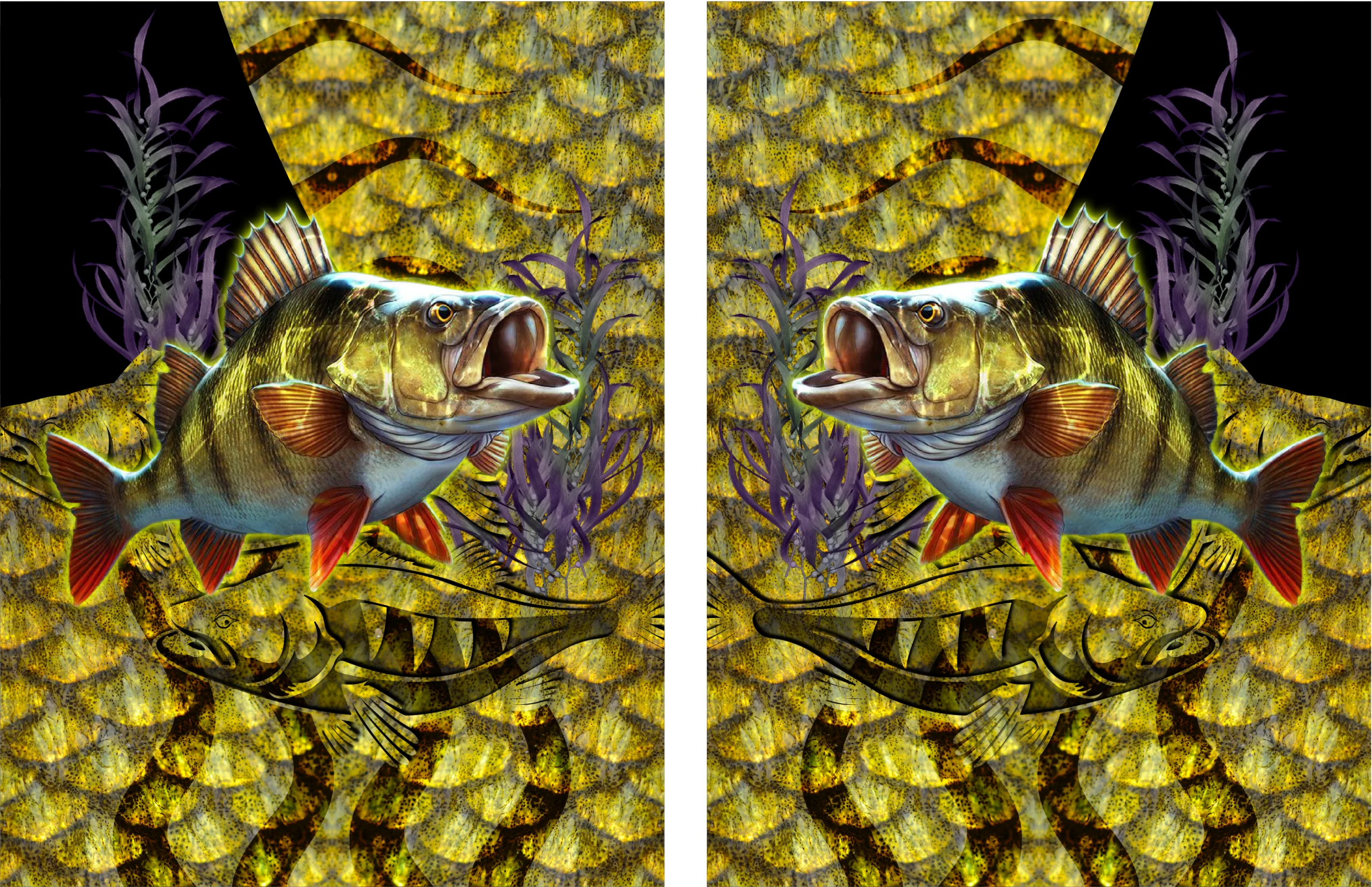 Pesca de Lubina Concept