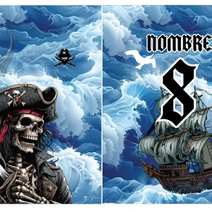 Pirata Interclasse VS24