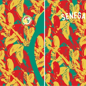 Senegal Pre-Match 24-25