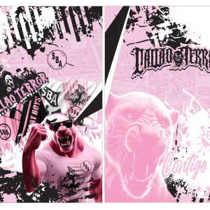 Sport Boys Futsalero VS25