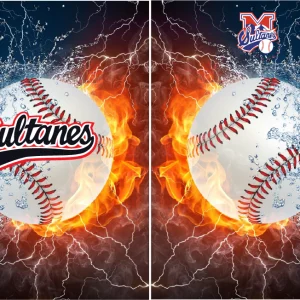 Sultanes de Monterrey Concept
