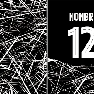 Textura Rayas Black VS25