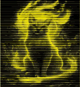 Textura Semitono Linea Gato